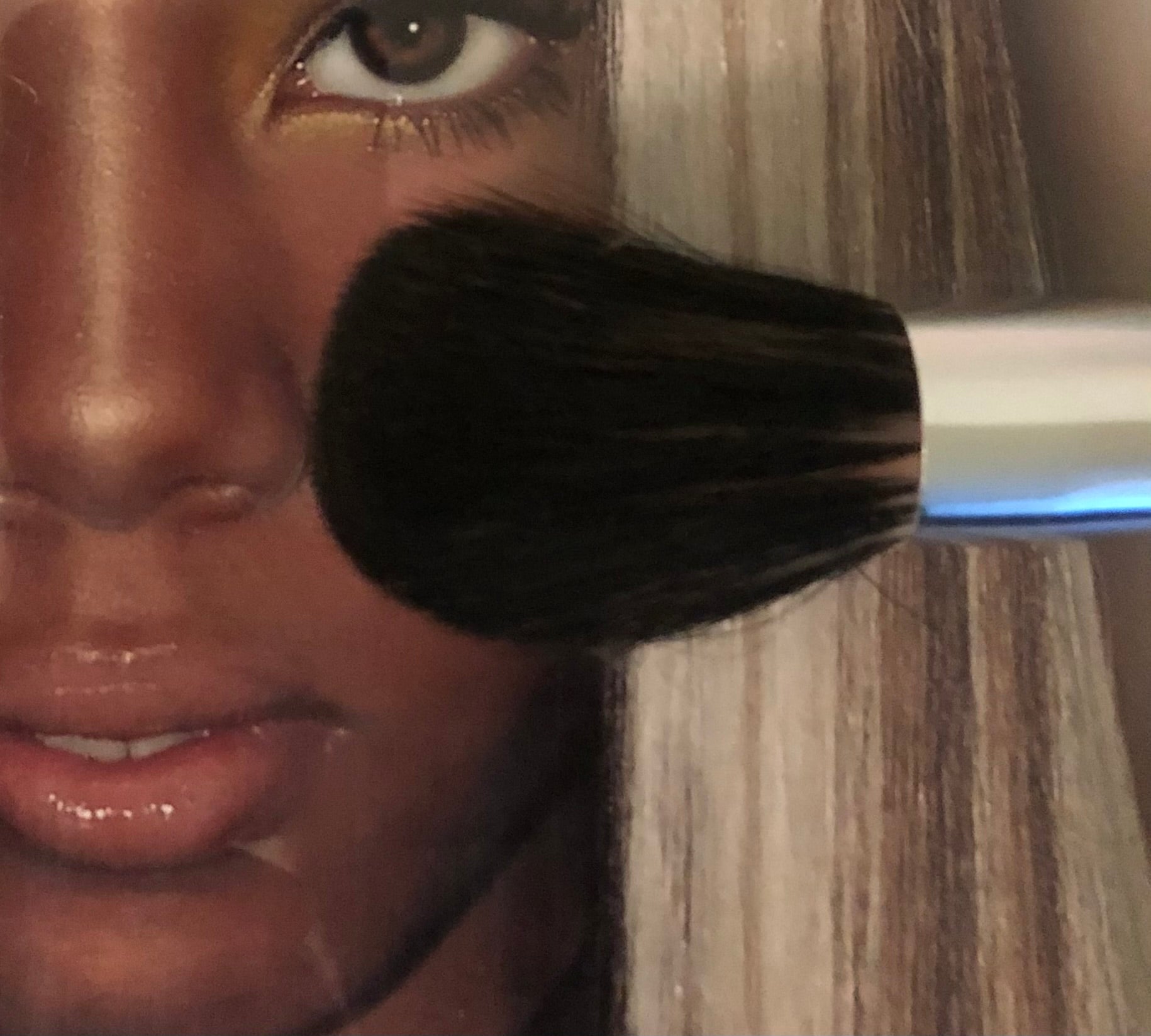 d f l  Pro Makeup Brush Set ( 15 ct )